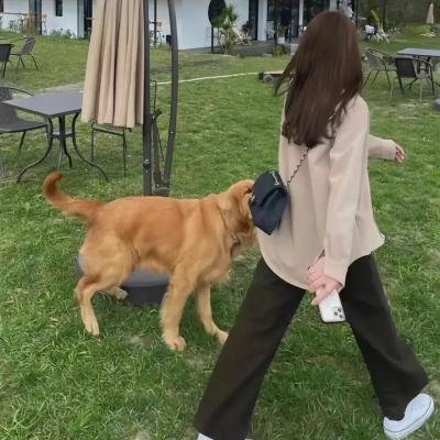 尘世女孩